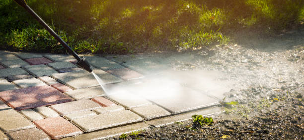 Best Animal Enclosure Cleaning  in Marlborough, MO